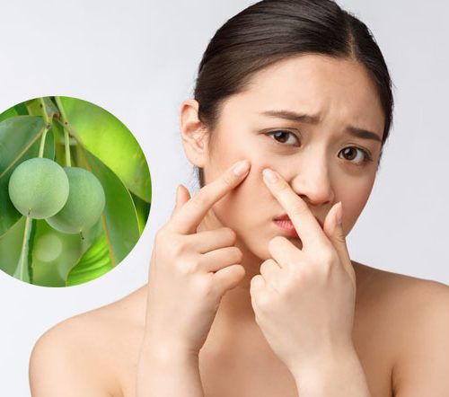 6 tác dụng của dầu mù u với da mặt hiệu quả nhất