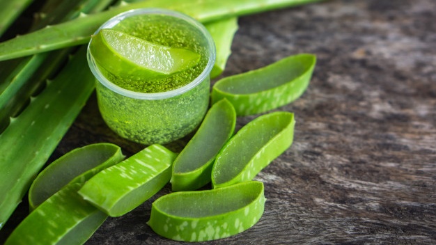 Sử dụng gel nha đam
